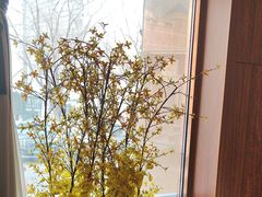 -八府香鸭·啫啫煲(华山路店)