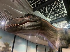 -湖南省地质博物馆