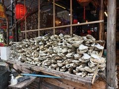 -土蚝·高压锅生蚝(百姓美食街店)