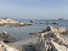 -养马岛旅游度假区