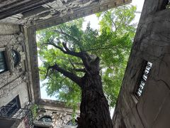 -旅顺博物馆
