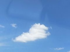 -哈密回王府景区