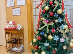-猫十亿·布偶金渐层·曼基康矮脚猫舍(青年路店)