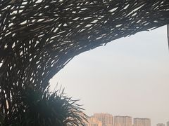 -玖壹咖啡(临河街店)