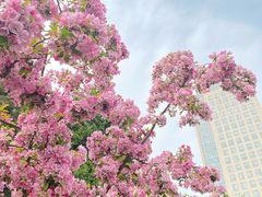 -海棠花溪(元大都城垣遗址公园)