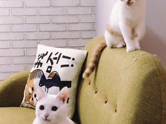 -帝京日语(春熙路旗舰校区)