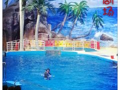 海洋剧场-福州罗源湾海洋世界旅游区