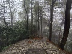 -贵州省植物园