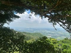 -海南铜鼓岭景区