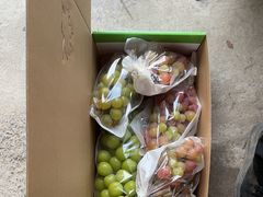 -马陆小张葡萄园农家乐