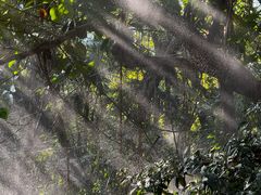-青青世界