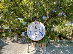 -晓雯人家