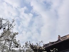 -灵谷景区