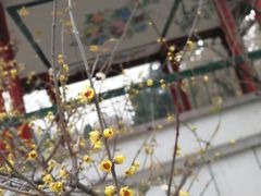 -山东师范大学(千佛山校区)