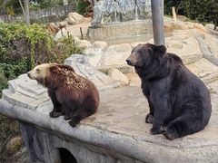 -云南野生动物园