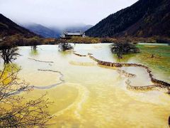 -黄龙山原始森林景区