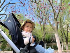 -白塘生态植物园