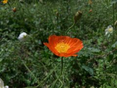 -白鹭湾湿地公园