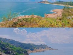 -广东惠东海龟国家级自然保护区