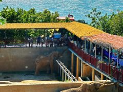 -西霞口神雕山野生动物世界
