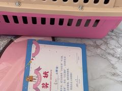-心语宠物医院·急重症转诊中心·瑞辰华诺(南青路店)