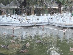 -北京市海淀外国语实验学校