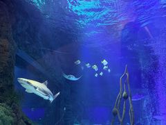 -沈阳海洋探索中心