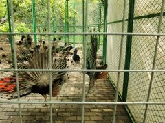 -常州淹城野生动物世界