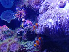 -成都浩海立方海洋公园