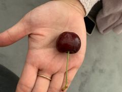 -盒马鲜生(顺义店)