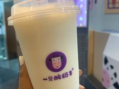 -一只酸奶牛(海南友谊阳光城店)