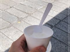 -洪馨椰子