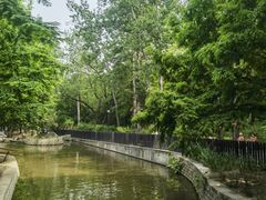 -白水寺森林公园