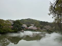 -君来湖滨饭店·渔餐厅