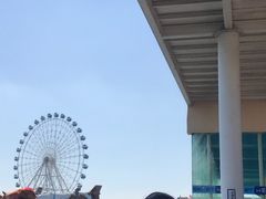 -秦皇岛乐岛海洋王国