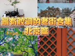 -北京国子监胡同