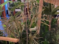 -鲁城往事(游客中心店)
