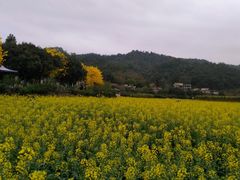 -红山村
