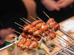 -邢氏老太太烤串(北兴街店)