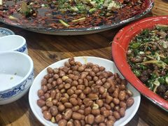 来凤鱼-东吴霸王兔(松青路店)