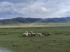 -青海湖国家重点风景名胜区
