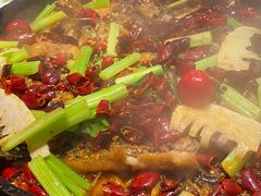 -老板恋上鱼(高新万达店)