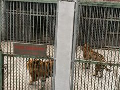 -合肥野生动物园