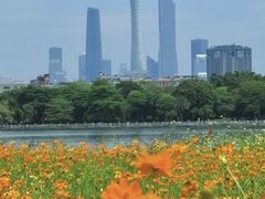 -海珠湖公园