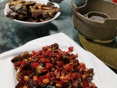 -龙小海荆沙鸽子店(瑞安街店)