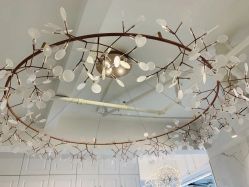 -潘多拉Hairsalon