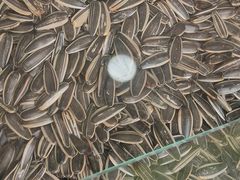 -刘艳明炒货(小心桥店)