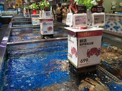 -盒马X会员店(王府井奥莱UP TOWN店)