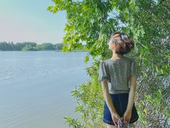 -东湖落雁景区