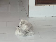 -六鳌翡翠湾滨海度假景区